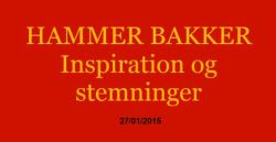 Stemningsfuld film om Hammer Bakker lavet af Regner Jensen, Grindsted..