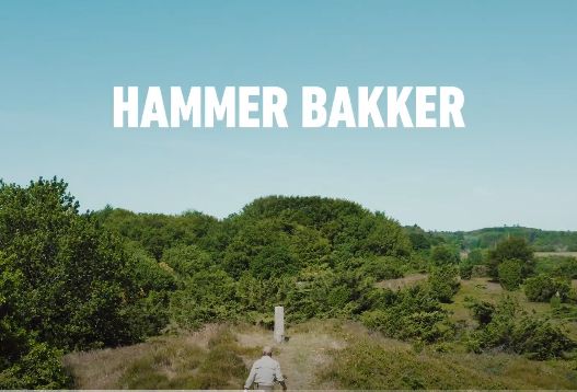 Ta' på opdagelse i Hammer Bakker