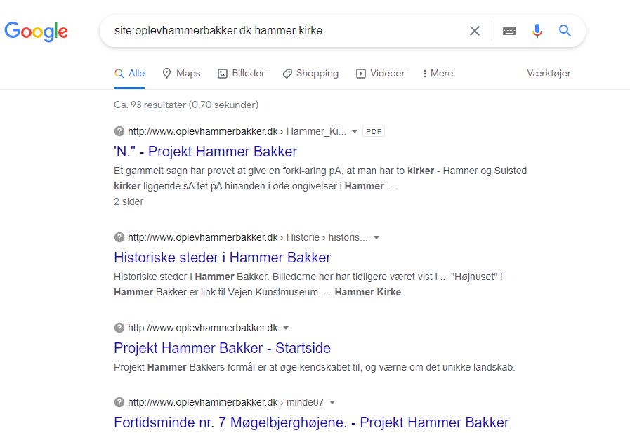 Google sgning p oplevhammer.dk